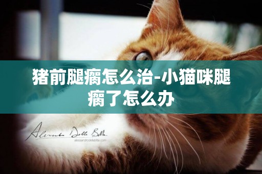 豬前腿瘸怎么治-小貓咪腿瘸了怎么辦