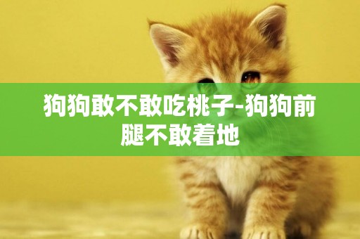 狗狗敢不敢吃桃子-狗狗前腿不敢著地