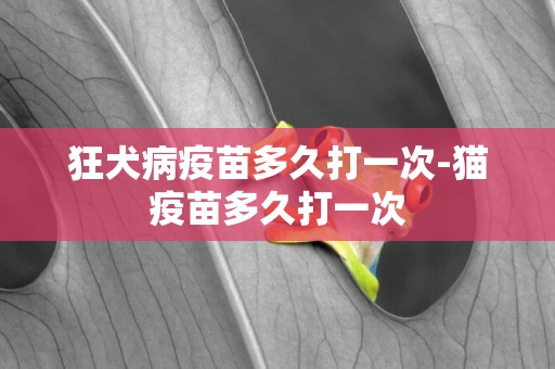 狂犬病疫苗多久打一次-貓疫苗多久打一次