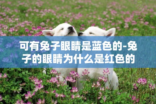 可有兔子眼睛是藍色的-兔子的眼睛為什么是紅色的