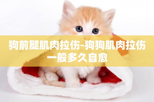 狗前腿肌肉拉傷-狗狗肌肉拉傷一般多久自愈