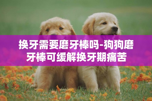 換牙需要磨牙棒嗎-狗狗磨牙棒可緩解換牙期痛苦