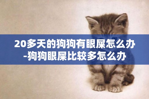 20多天的狗狗有眼屎怎么辦-狗狗眼屎比較多怎么辦
