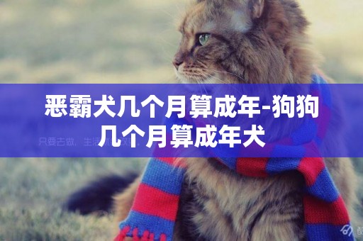 惡霸犬幾個月算成年-狗狗幾個月算成年犬