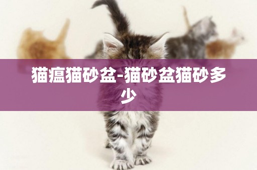 貓瘟貓砂盆-貓砂盆貓砂多少