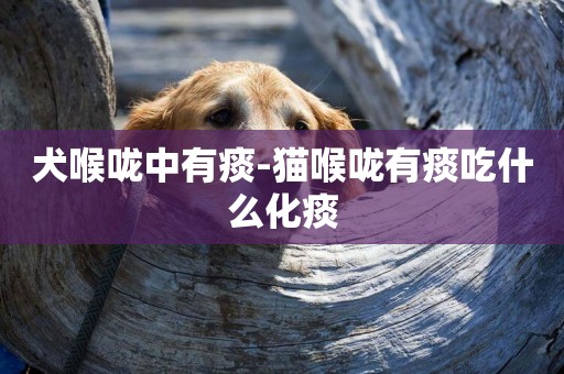 犬喉嚨中有痰-貓喉嚨有痰吃什么化痰