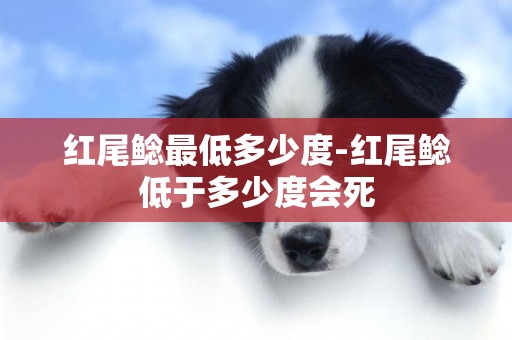 紅尾鯰最低多少度-紅尾鯰低于多少度會死