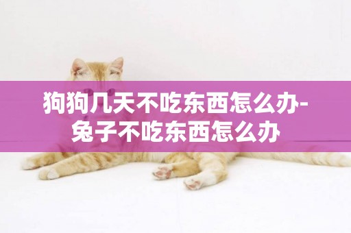 狗狗幾天不吃東西怎么辦-兔子不吃東西怎么辦