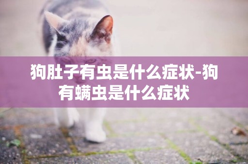狗肚子有蟲是什么癥狀-狗有螨蟲是什么癥狀
