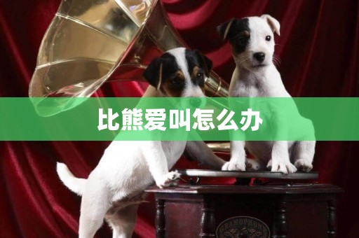 比熊愛叫怎么辦