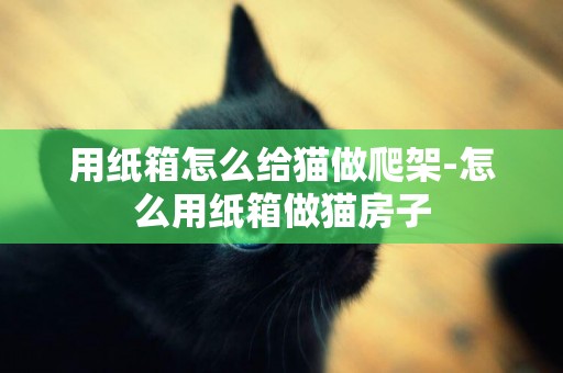 用紙箱怎么給貓做爬架-怎么用紙箱做貓房子