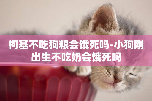 柯基不吃狗糧會餓死嗎-小狗剛出生不吃奶會餓死嗎
