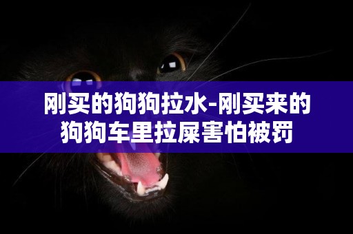 剛買的狗狗拉水-剛買來的狗狗車里拉屎害怕被罰