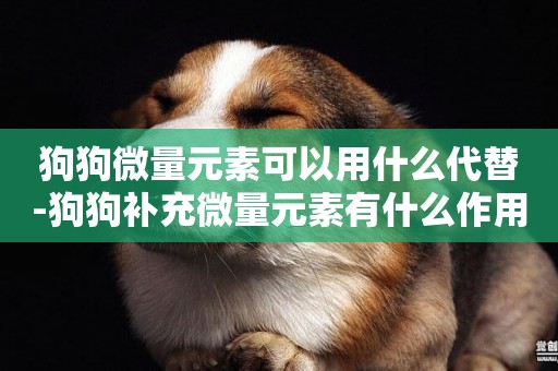 狗狗微量元素可以用什么代替-狗狗補充微量元素有什么作用