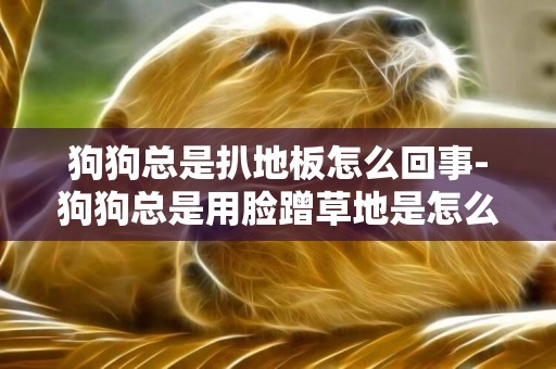 狗狗總是扒地板怎么回事-狗狗總是用臉蹭草地是怎么回事呢