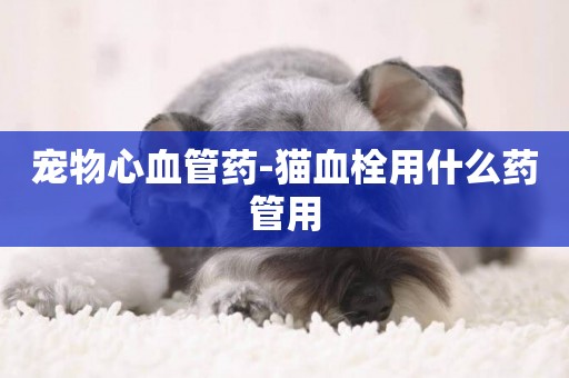 寵物心血管藥-貓血栓用什么藥管用
