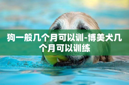 狗一般幾個月可以訓-博美犬幾個月可以訓練