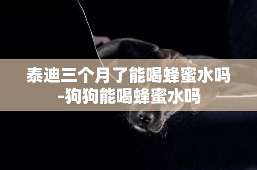 泰迪三個月了能喝蜂蜜水嗎-狗狗能喝蜂蜜水嗎