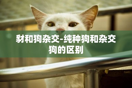 豺和狗雜交-純種狗和雜交狗的區別