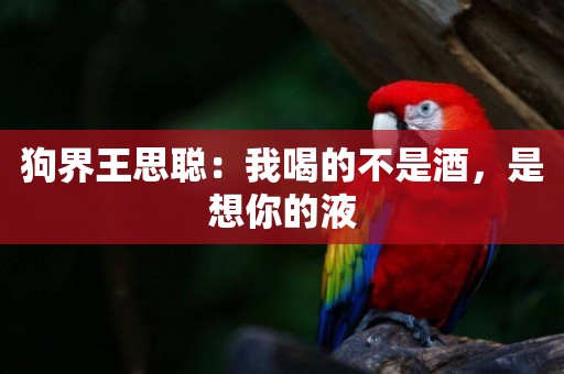 狗界王思聰：我喝的不是酒，是想你的液