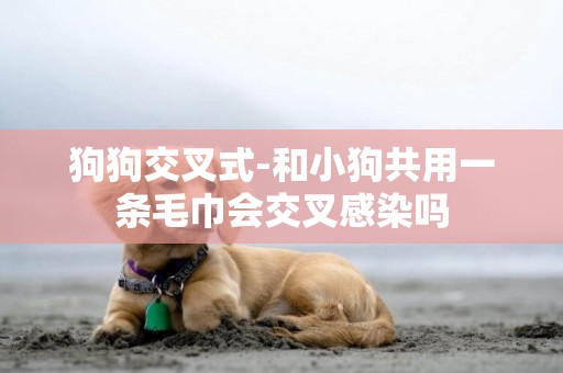 狗狗交叉式-和小狗共用一條毛巾會交叉感染嗎