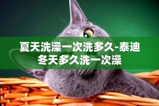 夏天洗澡一次洗多久-泰迪冬天多久洗一次澡