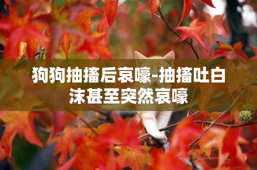狗狗抽搐后哀嚎-抽搐吐白沫甚至突然哀嚎