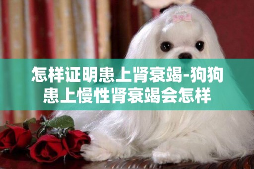 怎樣證明患上腎衰竭-狗狗患上慢性腎衰竭會怎樣
