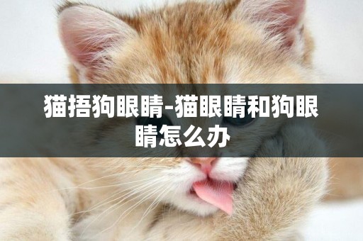 貓捂狗眼睛-貓眼睛和狗眼睛怎么辦