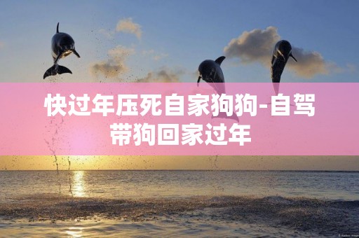 快過年壓死自家狗狗-自駕帶狗回家過年