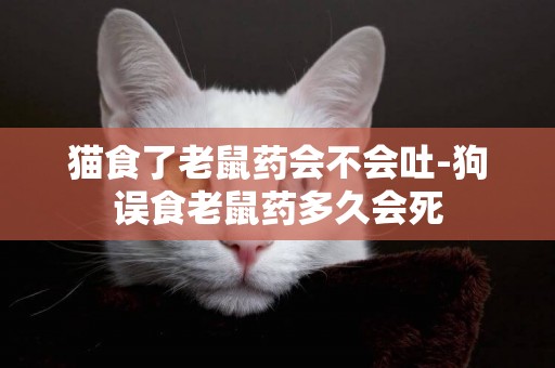 貓食了老鼠藥會不會吐-狗誤食老鼠藥多久會死