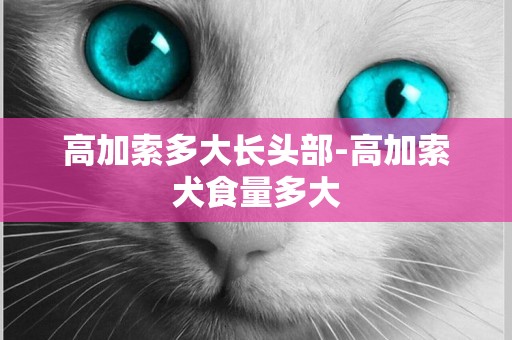 高加索多大長頭部-高加索犬食量多大