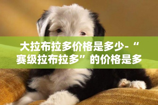 大拉布拉多價格是多少-“賽級拉布拉多”的價格是多少
