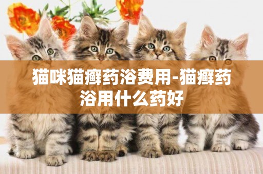 貓咪貓癬藥浴費用-貓癬藥浴用什么藥好