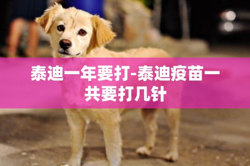 泰迪一年要打-泰迪疫苗一共要打幾針