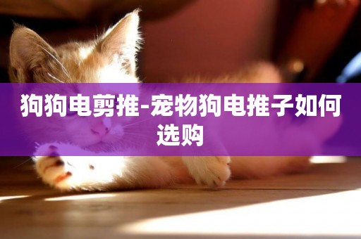 狗狗電剪推-寵物狗電推子如何選購