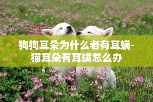 狗狗耳朵為什么老有耳螨-貓耳朵有耳螨怎么辦