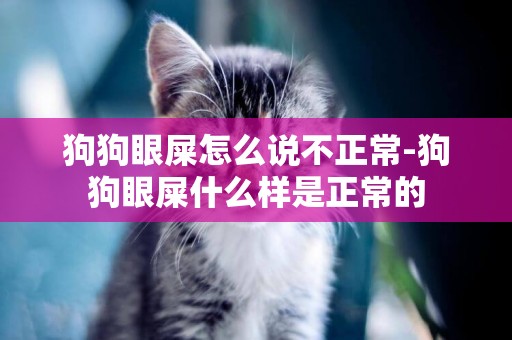 狗狗眼屎怎么說不正常-狗狗眼屎什么樣是正常的