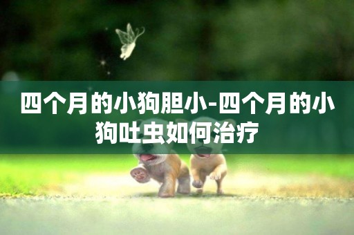 四個月的小狗膽小-四個月的小狗吐蟲如何治療