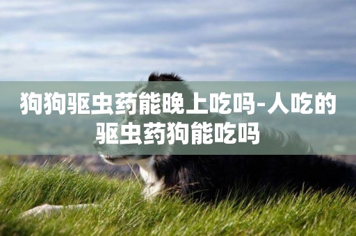 狗狗驅蟲藥能晚上吃嗎-人吃的驅蟲藥狗能吃嗎