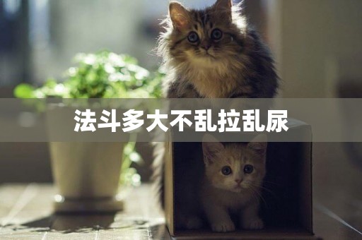 法斗多大不亂拉亂尿
