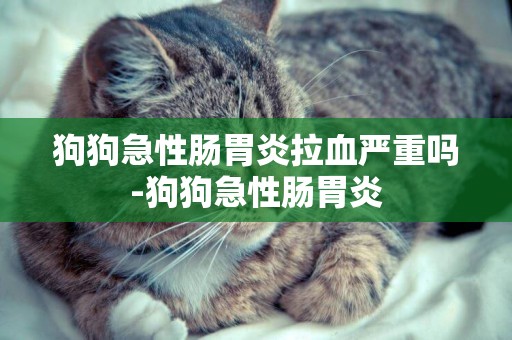 狗狗急性腸胃炎拉血嚴重嗎-狗狗急性腸胃炎