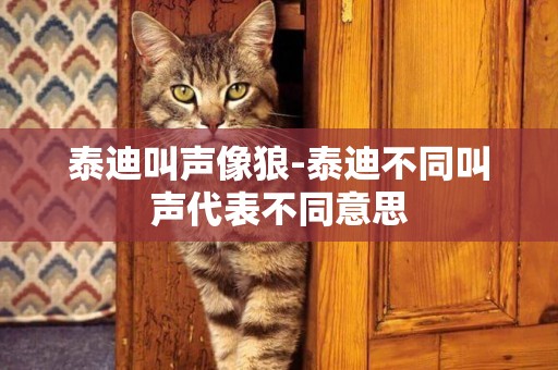 泰迪叫聲像狼-泰迪不同叫聲代表不同意思