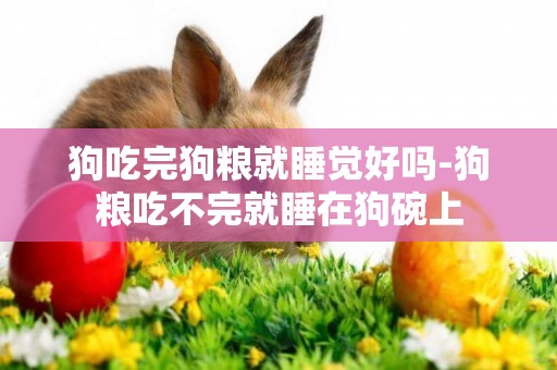 狗吃完狗糧就睡覺好嗎-狗糧吃不完就睡在狗碗上
