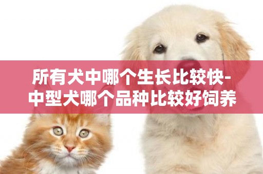 所有犬中哪個生長比較快-中型犬哪個品種比較好飼養