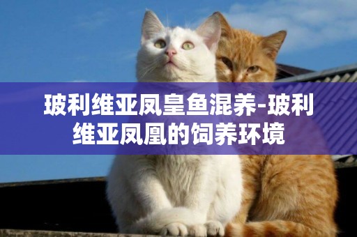 玻利維亞鳳皇魚混養-玻利維亞鳳凰的飼養環境