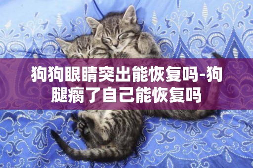狗狗眼睛突出能恢復嗎-狗腿瘸了自己能恢復嗎