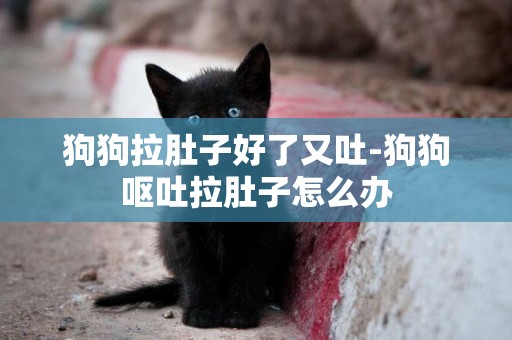 狗狗拉肚子好了又吐-狗狗嘔吐拉肚子怎么辦