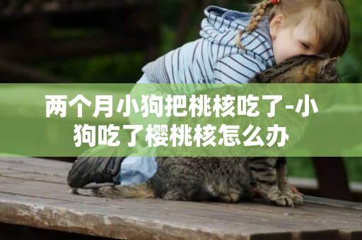 兩個月小狗把桃核吃了-小狗吃了櫻桃核怎么辦