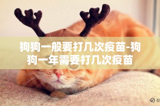 狗狗一般要打幾次疫苗-狗狗一年需要打幾次疫苗